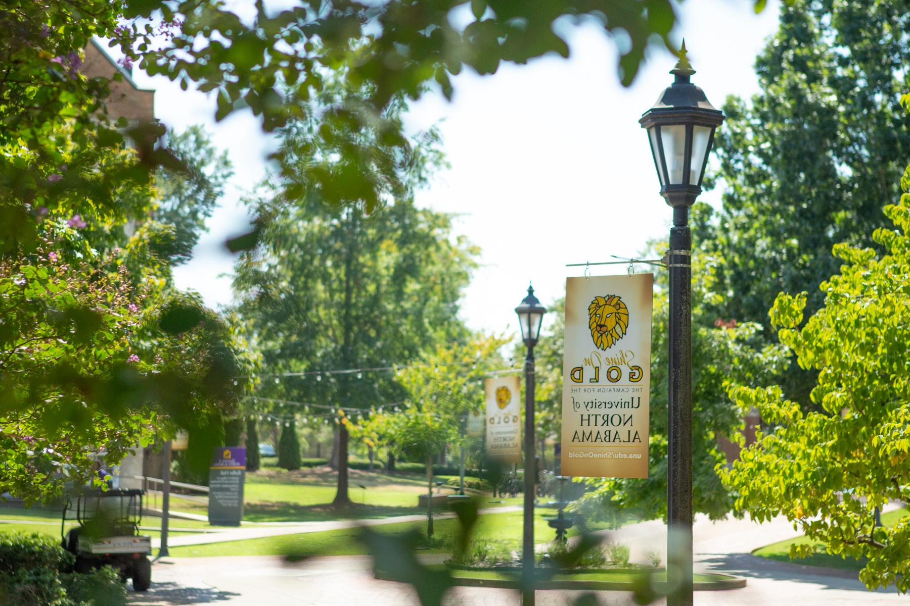 Shine On, Gold Banners have been placed on campus and in the downtown as a reminder to all that UNA is in the midst of an historic comprehensive campaign.